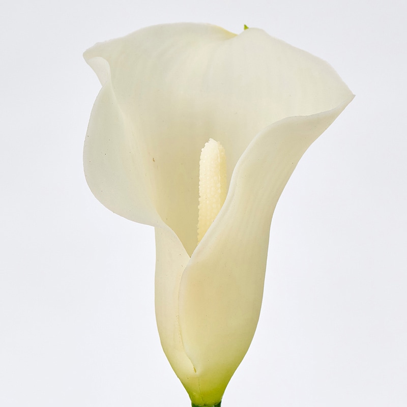 東京堂 造花 アンヌカラー クリーム FM005426-001 1本(ご注文単位1本)【直送品】