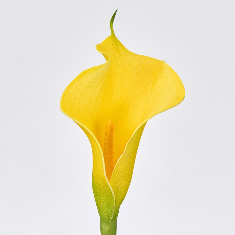 東京堂 造花 ソフィアカラー イエロー FM001833-004 1本（ご注文単位1本）【直送品】