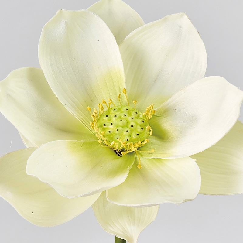 東京堂 造花 ブルームロータス クリーム FM001554-037 1本(ご注文単位1本)【直送品】