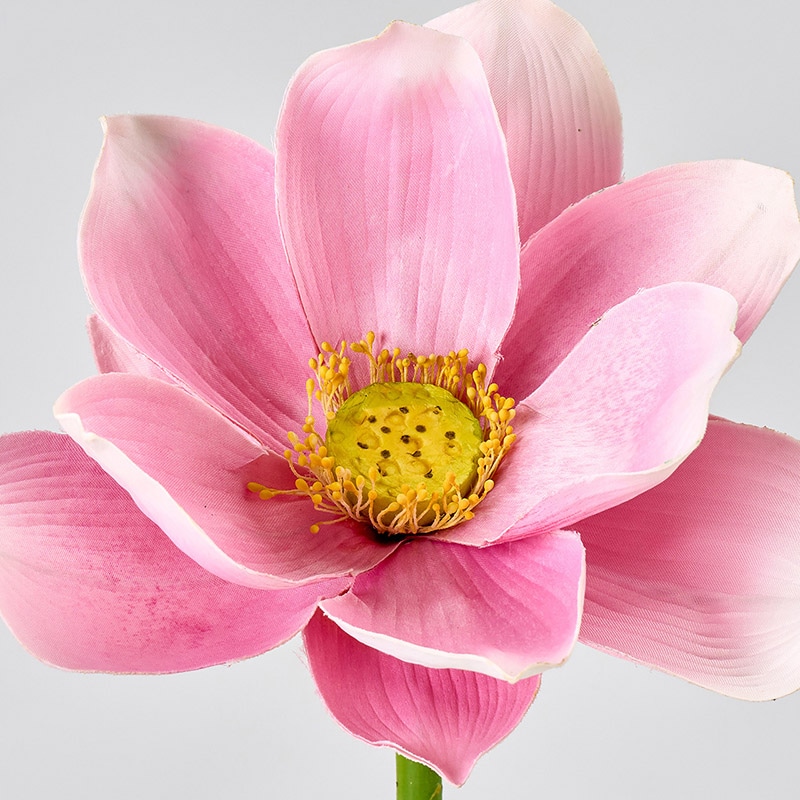 東京堂 造花 ブルームロータス ピンク FM001554-002 1本(ご注文単位1本)【直送品】