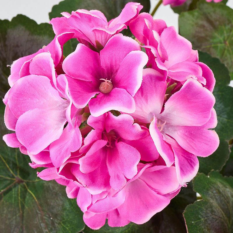 東京堂 造花 セリーズゼラニウムブッシュ オーキッド FM005536-012 1本(ご注文単位1本)【直送品】