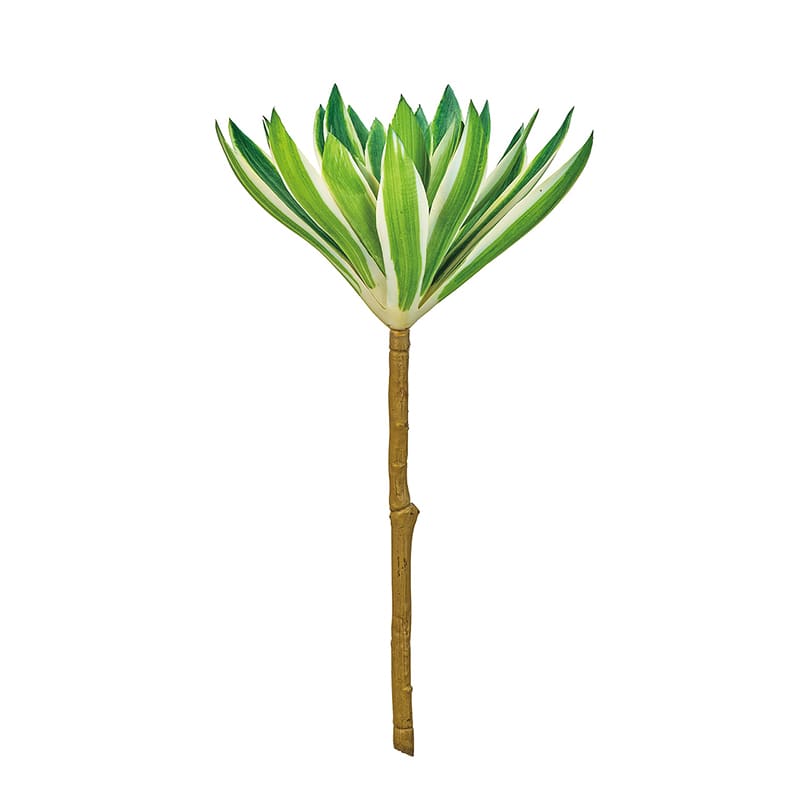 東京堂 造花 アエオニウム枝 グリーン/クリーム FG002775 1本（ご注文単位1本）【直送品】