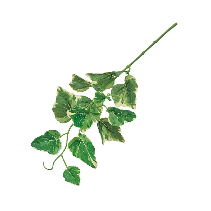 東京堂 造花 ヘデラホワイトワンダー クリームグリーン FG000841 1束（ご注文単位1束）【直送品】