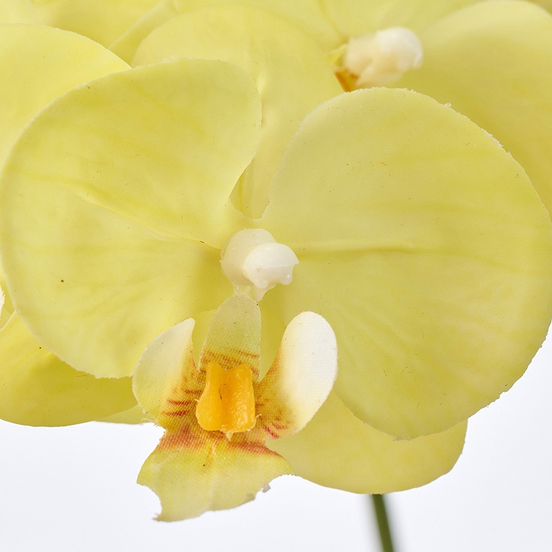 東京堂 造花 シェリーファレノ イエロー FM008804-004 1本(ご注文単位1本)【直送品】