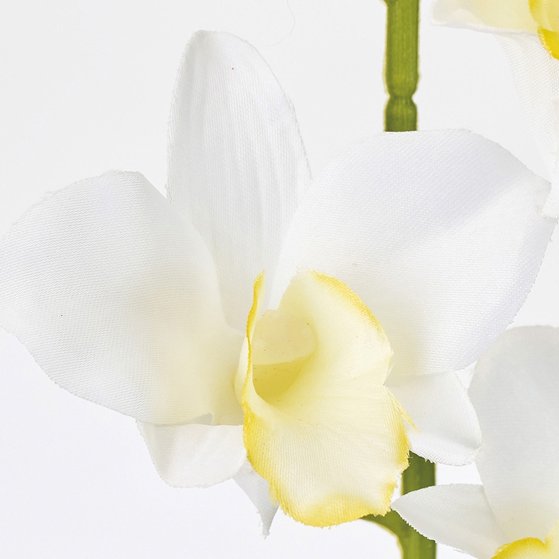 東京堂 造花 グレイスデンファレ ホワイト/イエロー FM008030-001 1本(ご注文単位1本)【直送品】