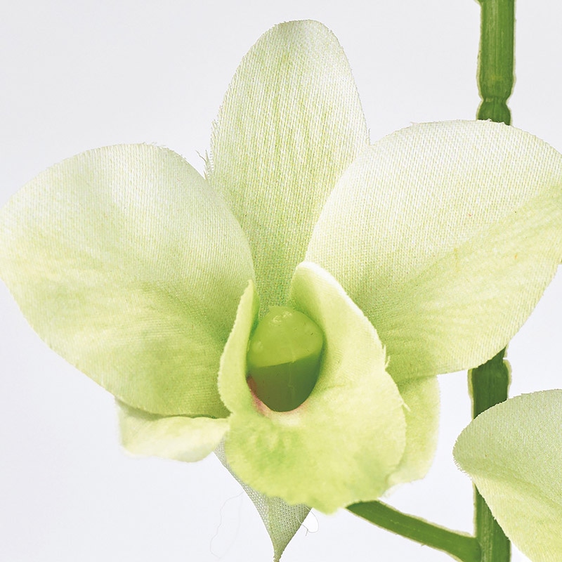 東京堂 造花 グレイスデンファレ ライトグリーン FM008030-023 1本（ご注文単位1本）【直送品】