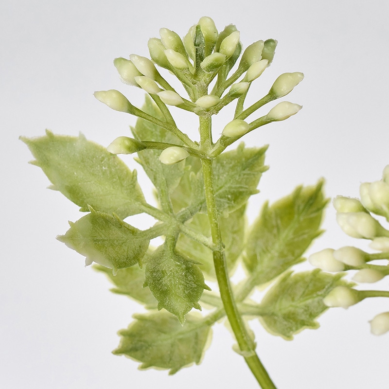 東京堂 造花 ニュアンスカランコエスプレー ホワイト/グリーン FG002361-022 1本(ご注文単位1本)【直送品】