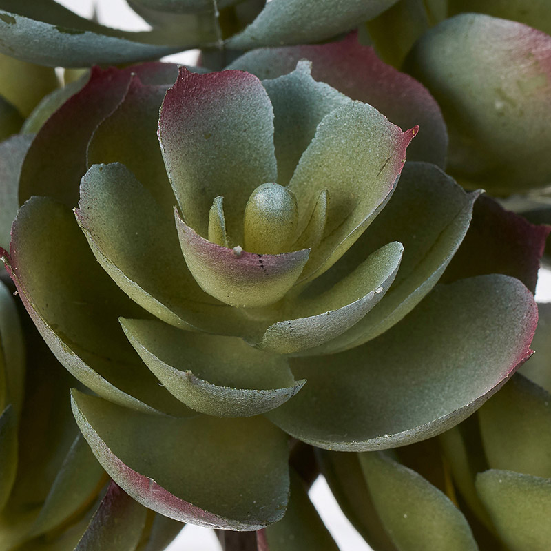 東京堂 造花 ミニエケベリアブッシュ ブルーグリーン FG001976-015 1本(ご注文単位1本)【直送品】