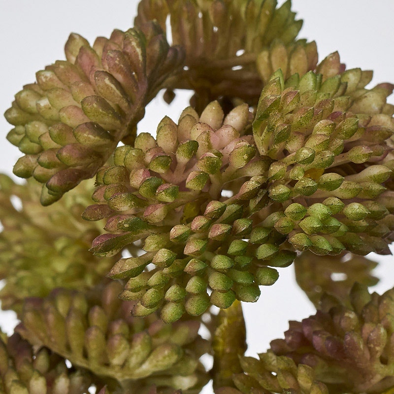 東京堂 造花 セダムブッシュ ブラウングリーン FG001975-025 1本（ご注文単位1本）【直送品】