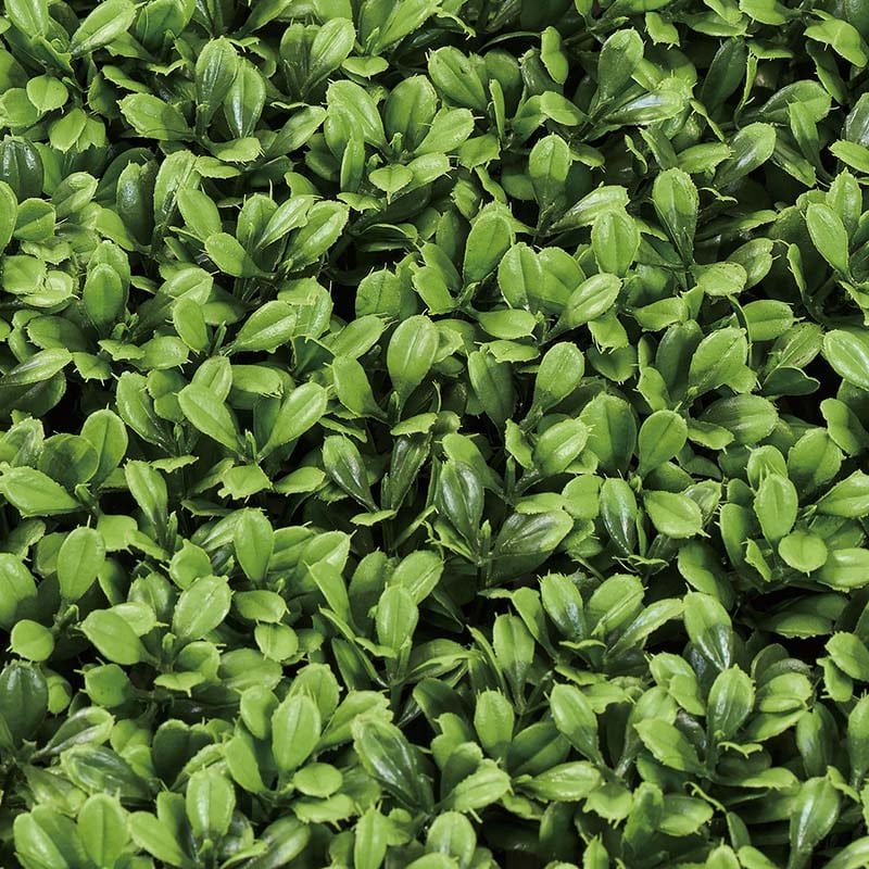 東京堂 ディスプレイ 難燃ボックスウッドマット グリーン FG602500 1枚(ご注文単位1枚)【直送品】