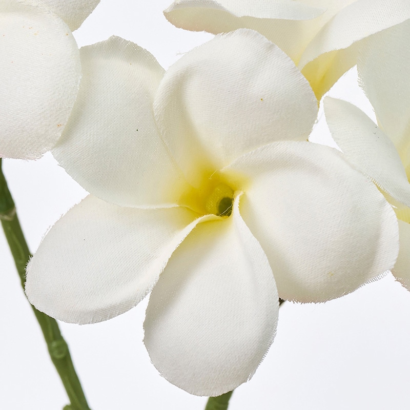 東京堂 造花 アマンダプルメリア クリーム FM001613-001 1本（ご注文単位1本）【直送品】