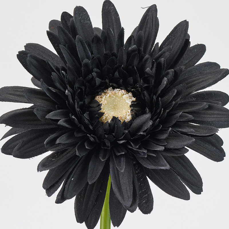 東京堂 造花 ソワールガーベラ ブラック FM002403-020 1本（ご注文単位1本）【直送品】