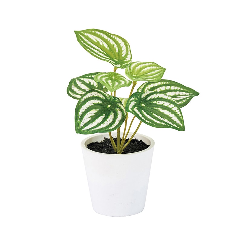 東京堂 造花 ペペロミアプチポット グリーン FZ009199 1個（ご注文単位1個）【直送品】