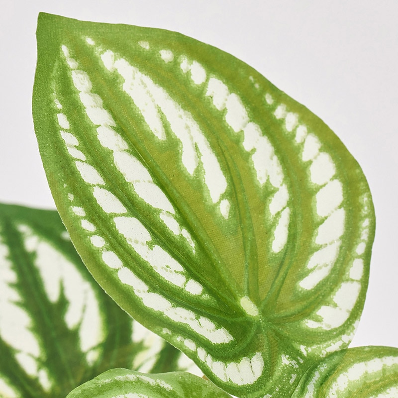 東京堂 造花 ペペロミアプチポット グリーン FZ009199 1個(ご注文単位1個)【直送品】