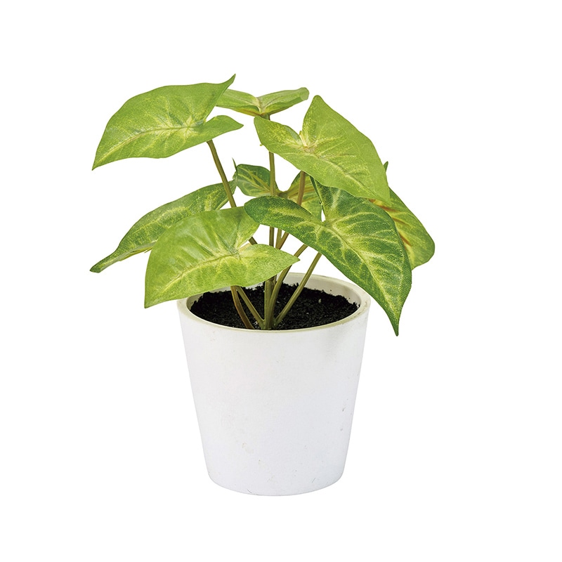 東京堂 造花 シンゴニュームプチポット グリーン FZ009201 1個（ご注文単位1個）【直送品】