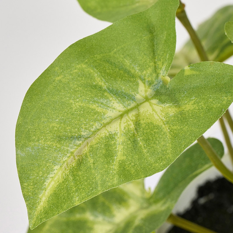 東京堂 造花 シンゴニュームプチポット グリーン FZ009201 1個(ご注文単位1個)【直送品】