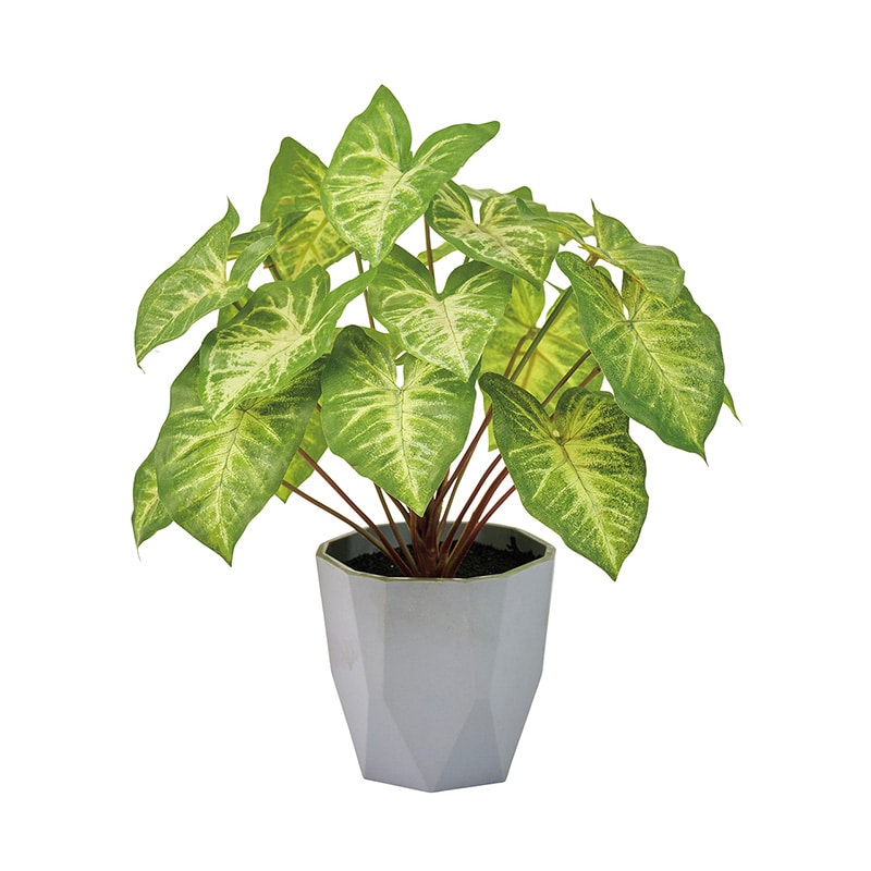 東京堂 造花 シンゴニュームミニポット グリーン FZ009196 1個（ご注文単位1個）【直送品】