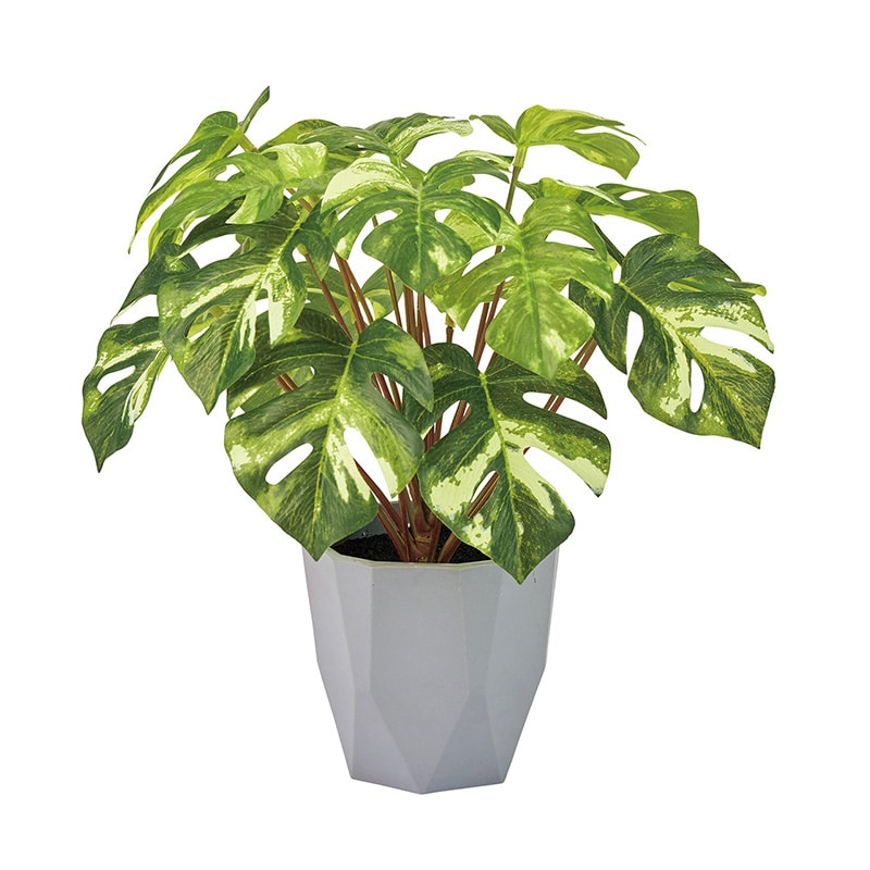 東京堂 造花 スプリットフィロミニポット グリーン FZ009197 1個（ご注文単位1個）【直送品】