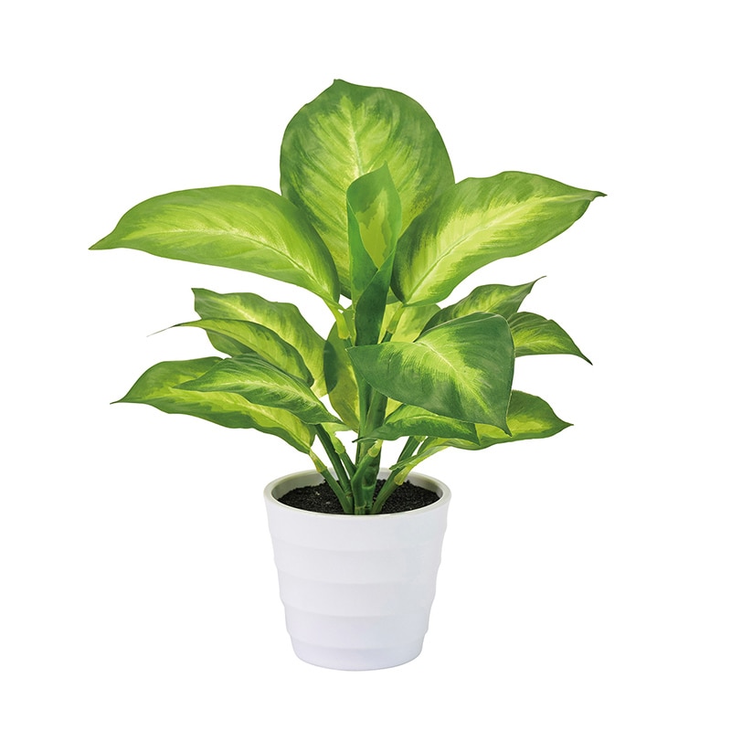 東京堂 造花 ディフェンバキアミニポット グリーン FZ009175 1個（ご注文単位1個）【直送品】