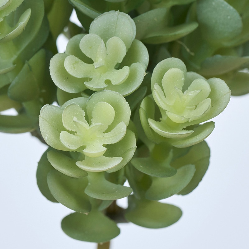 東京堂 造花 ソフトセダムピック グリーングレー FG000238 1本（ご注文単位1本）【直送品】