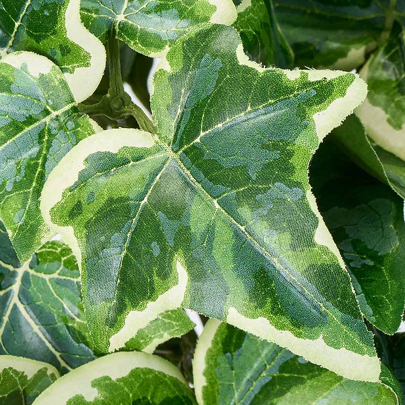 東京堂 造花 難燃斑入りアイビーブッシュ グリーン/クリーム FG612500 1本(ご注文単位1本)【直送品】