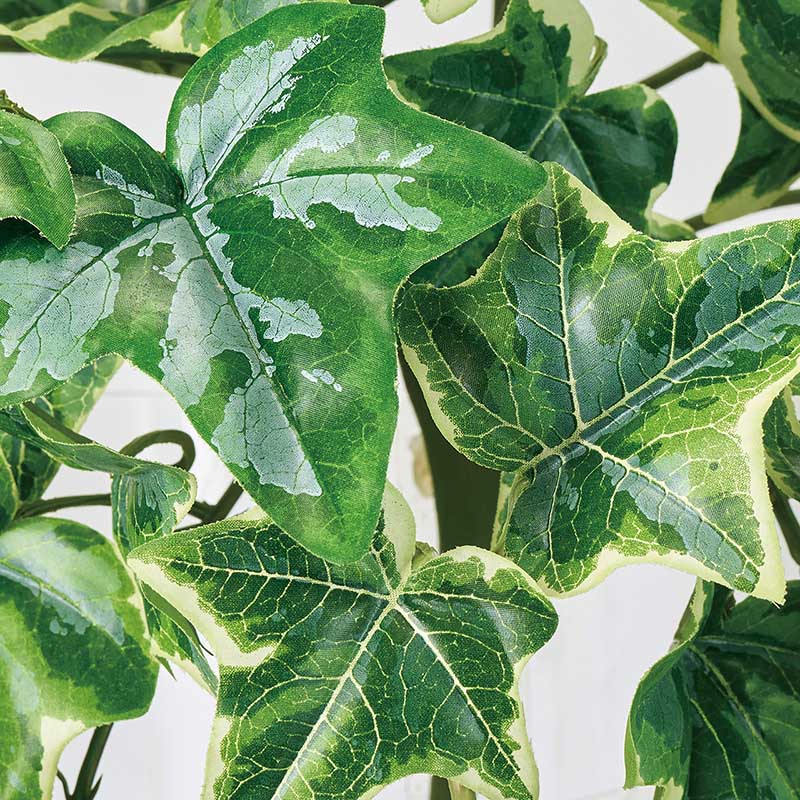 東京堂 造花 難燃斑入りアイビーバイン グリーン/クリーム FG612501 1本(ご注文単位1本)【直送品】