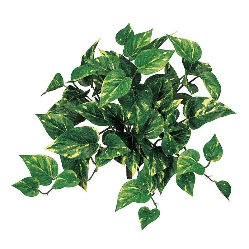 東京堂 造花 難燃斑入りポトスブッシュ グリーン/イエロー FG612503 1本（ご注文単位1本）【直送品】