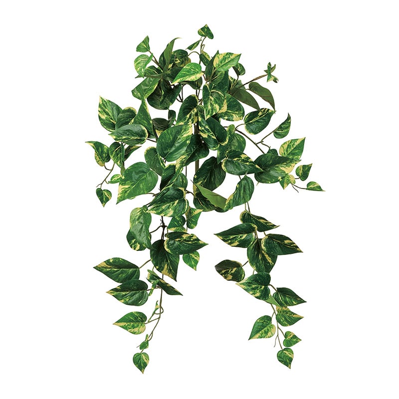 東京堂 造花 難燃斑入りポトスバイン グリーン/イエロー FG612504 1本（ご注文単位1本）【直送品】