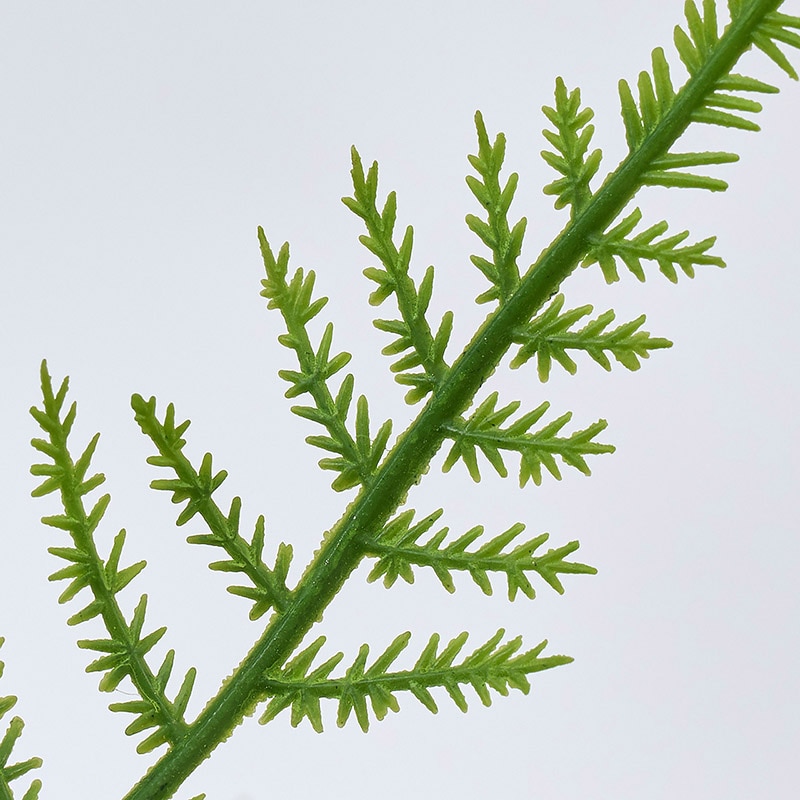 東京堂 造花 ブライトファーンピック グリーン FG000246 1束(ご注文単位1束)【直送品】