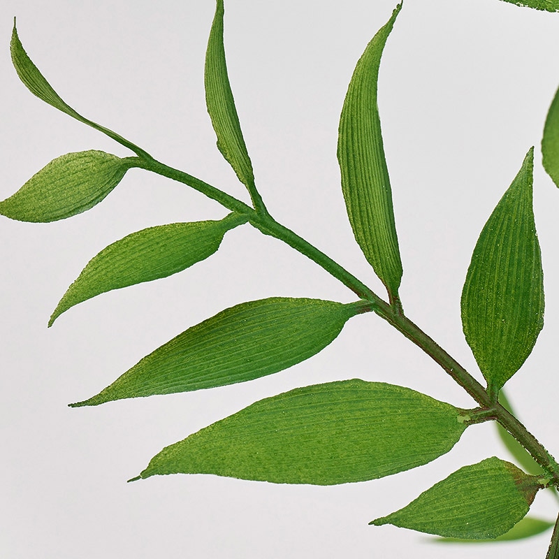 東京堂 造花 イタリアンルスカスポット グリーン FG000931 1本（ご注文単位1本）【直送品】