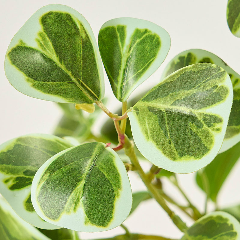 東京堂 造花 ファイカスツリーポット グリーン FG000121 1個（ご注文単位1個）【直送品】