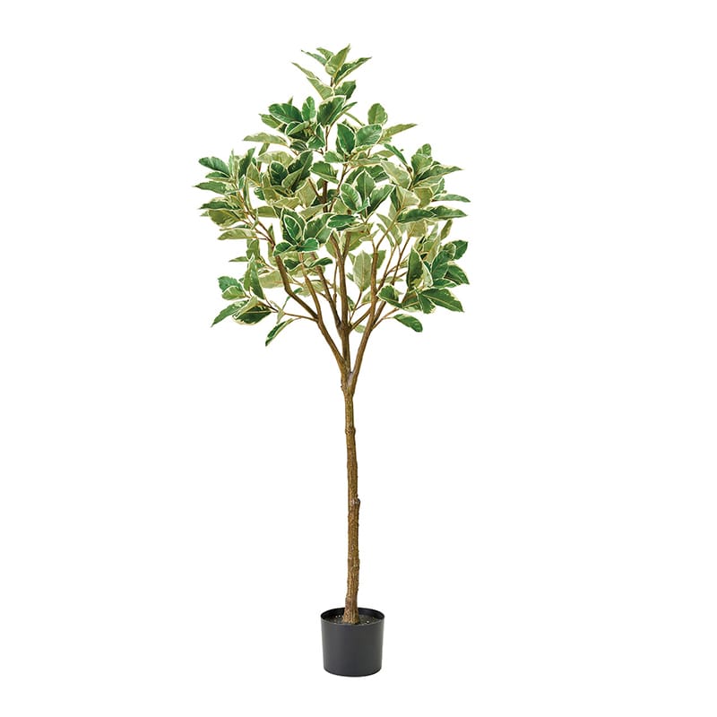 東京堂 造花 ラバーツリー斑入ポット グリーン FG000929 1個（ご注文単位1個）【直送品】