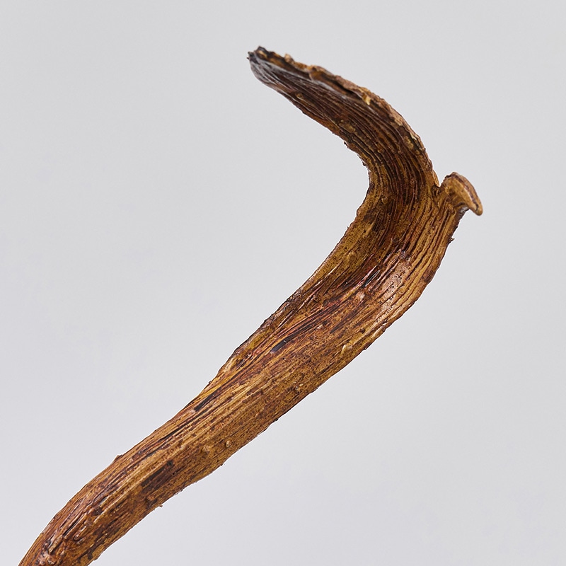 東京堂 造花 サリックススレンダーブランチ ライトブラウン FG3678 1本(ご注文単位1本)【直送品】