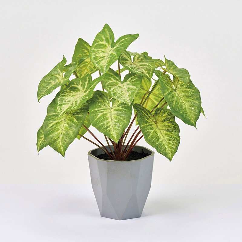 東京堂 造花 シンゴニウムミニポット 光触媒加工 グリーン ZV009196 1個（ご注文単位1個）【直送品】