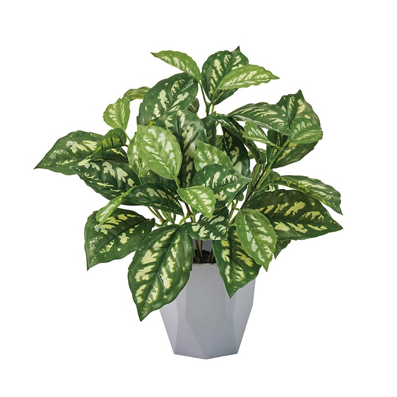 東京堂 造花 ピレアカディエレイミニポット 光触媒加工 グリーン ZV009198 1個（ご注文単位1個）【直送品】