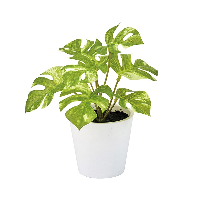 東京堂 造花 スプリットフィロプチポット 光触媒加工 グリーン ZV009200 1個（ご注文単位1個）【直送品】