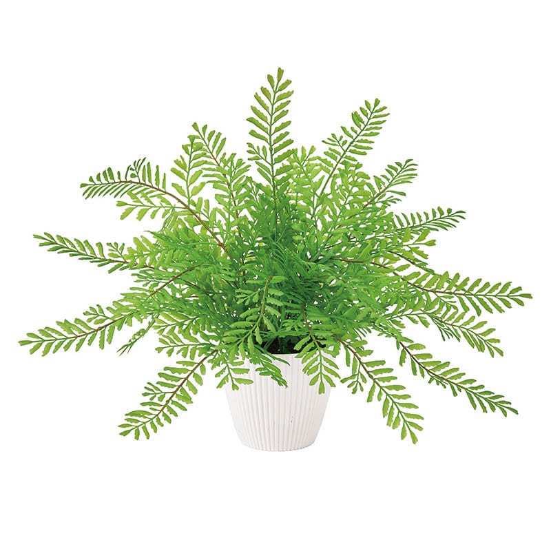 東京堂 造花 シダポット 光触媒加工 グリーン ZV009202 1個（ご注文単位1個）【直送品】