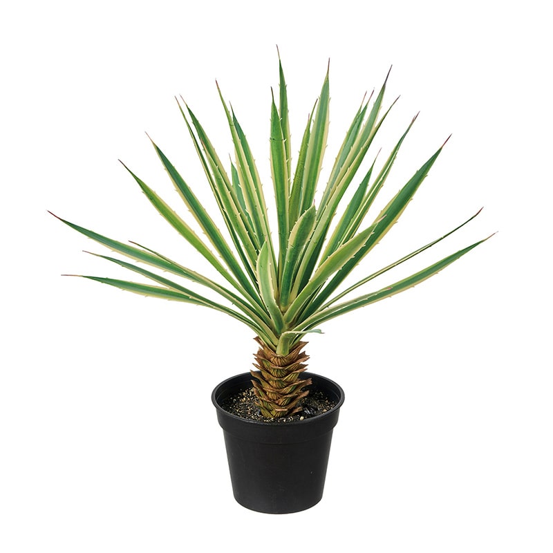 東京堂 造花 ユッカミニポット 光触媒加工 グリーン ZV000932 1個（ご注文単位1個）【直送品】