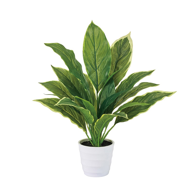 東京堂 造花 ハランミニポット 光触媒加工 グリーン ZV009176 1個（ご注文単位1個）【直送品】