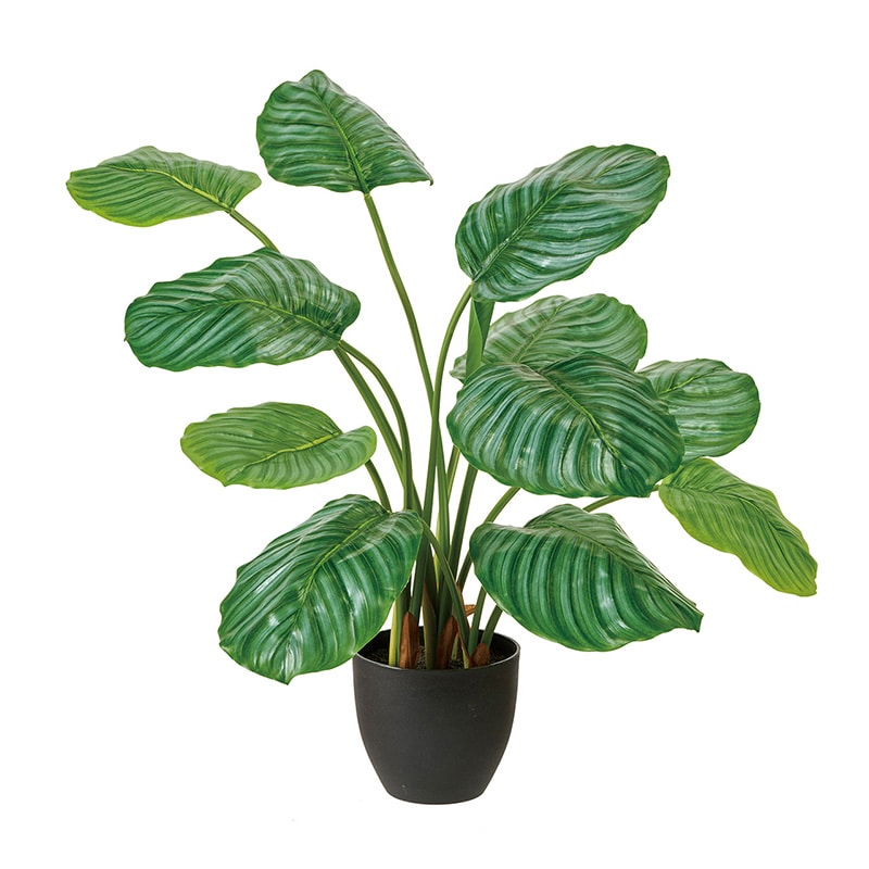 東京堂 造花 カラテアオルビフォリアポット 光触媒加工 グリーン ZV000806 1個（ご注文単位1個）【直送品】