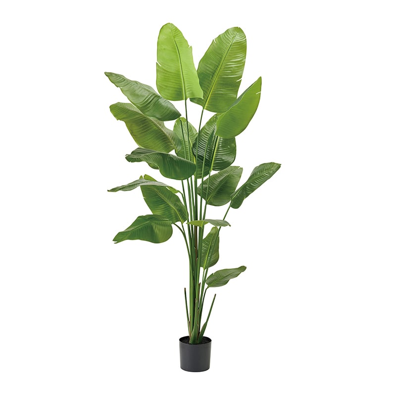 東京堂 造花 ストレリチアジョイントポット 光触媒加工 グリーン ZV001553 1個（ご注文単位1個）【直送品】