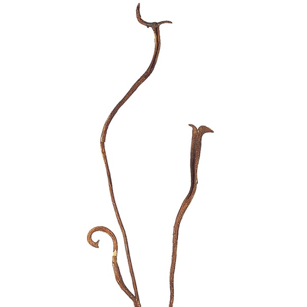 東京堂 造花 サリックススレンダーブランチ FG3675 ダークブラウン 1本(ご注文単位1本)【直送品】