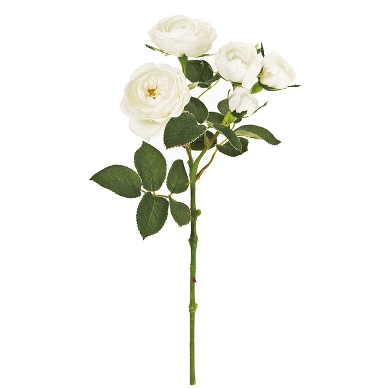 ピュアホワイト