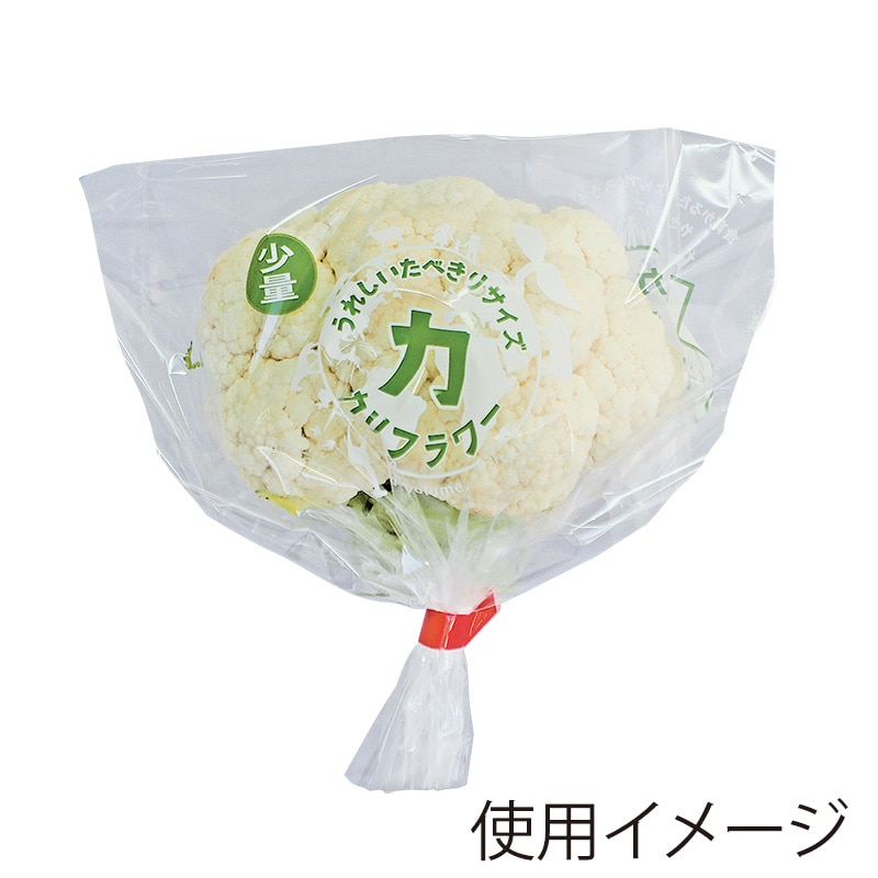 精工 ボードンパック　たべきり少量パック  カリフラワー 100枚/袋（ご注文単位50袋）【直送品】