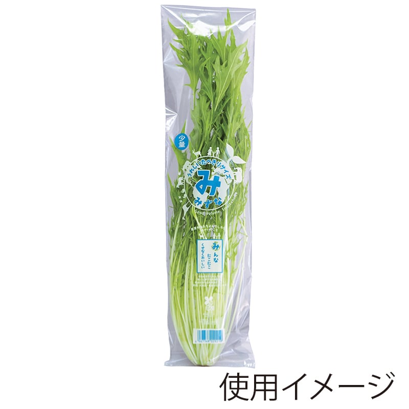 精工 ボードンパック　たべきり少量パック  みず菜 100枚/袋（ご注文単位50袋）【直送品】