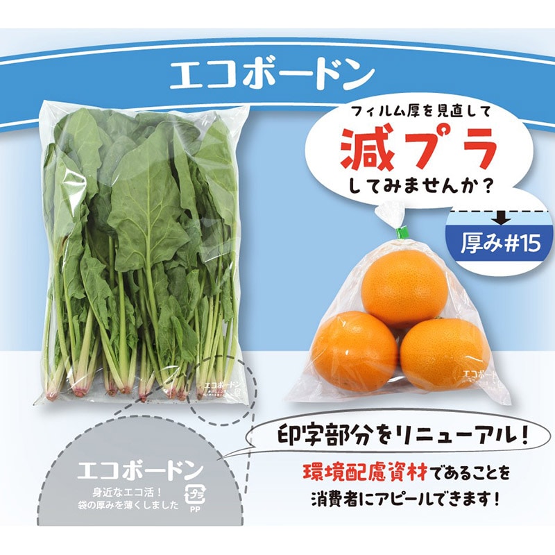 精工 OPP防曇袋 エコボードン 13号 100枚/袋(ご注文単位50袋)【直送品】