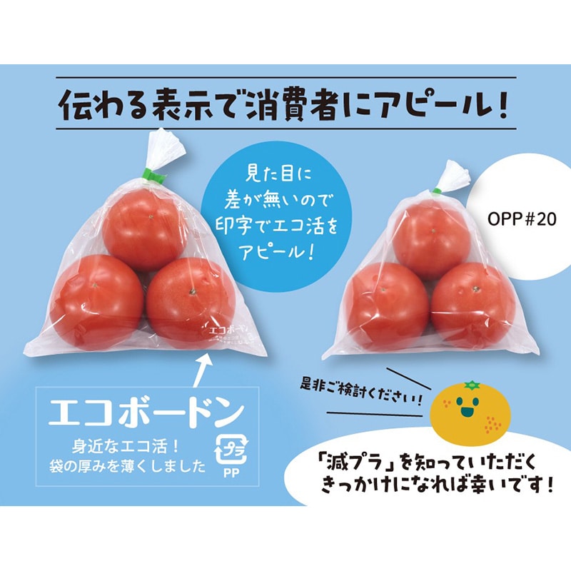 精工 OPP防曇袋 エコボードン 13号 100枚/袋(ご注文単位50袋)【直送品】