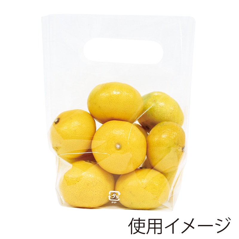 精工 手抜きポリ袋 スタンドパック SP35-20185 100枚/袋（ご注文単位20袋）【直送品】