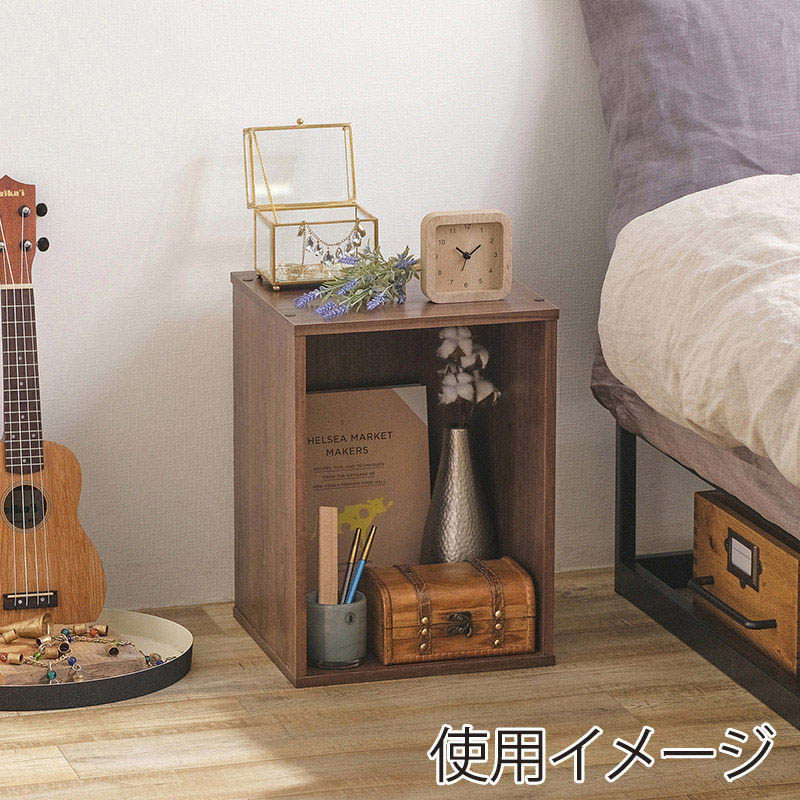 アイリスオーヤマ CBボックス　1段 ブラウン CX-1 1個（ご注文単位1個）【直送品】