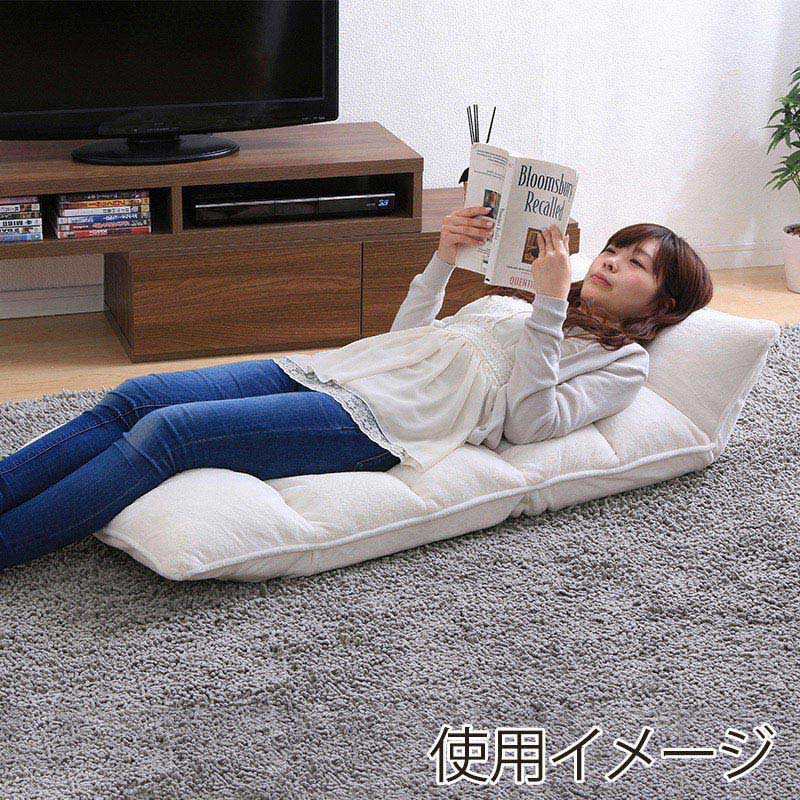 アイリスオーヤマ 座椅子 フロアチェア 低反発 アイボリー ZCR-2 1個(ご注文単位1個)【直送品】